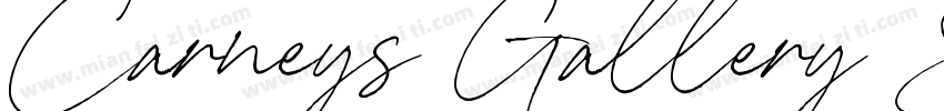Carneys Gallery Scri字体转换